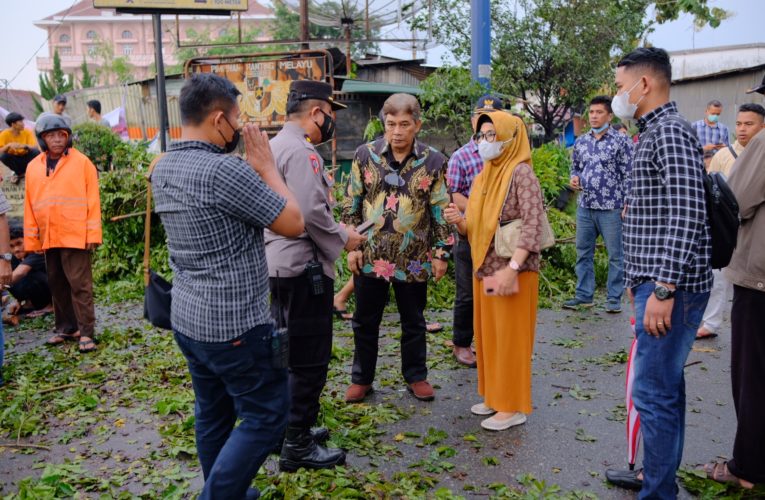 Plt Wali Kota Pematang Sianțar Tinjau Langsung Lokasi Pohon Tumbang